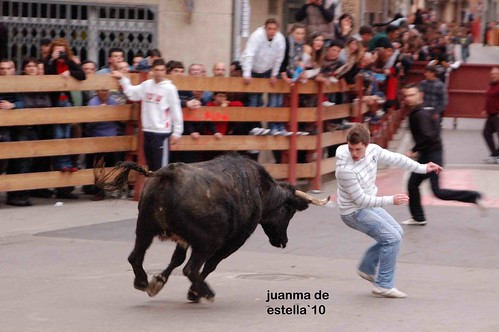 Funes (Navarra)  21-3-2010 ganaderia Enrique Dominguez (Funes, Navarra) 4462864560_b5ec8337d0