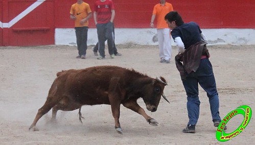 Corella (Navarra) 16-04-2010 Jose Antonio Baigorri "El Pincha" (Lodosa, Navarra) 4534891911_d1c19b7ffb