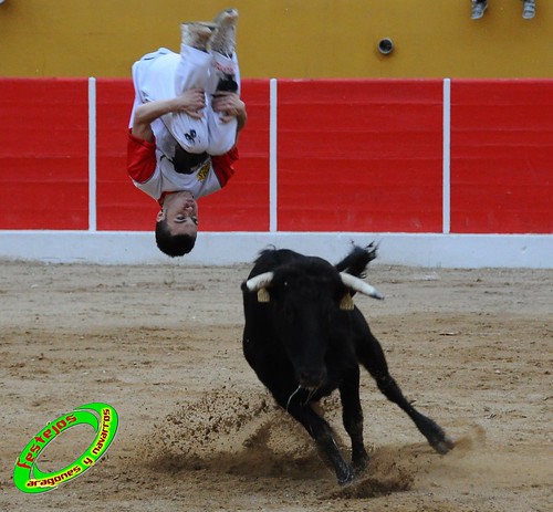 Concurso de cortes de Ricla ganaderia Ana Corera (Larraga, Navarra) 4642250588_39b5a6c031