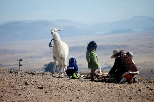 -----Bolivie----- 4353137499_11ec59059f