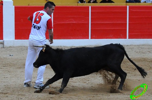 Concurso de cortes de Ricla ganaderia Ana Corera (Larraga, Navarra) 4642315788_10ba52c15c