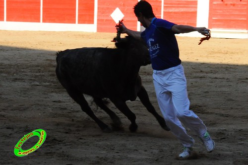 Concurso de recortadores con anillas de Ricla (Zaragoza) ganaderia Hnos. Vela (Mallen, Zaragoza) 4653359097_778aabfc55