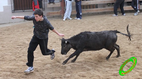 Villatuerta (Navarra) 6-03-2010 ganaderia Macua (Larraga, Navarra) 4422336315_5f93bfe8a1