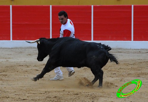 Concurso de cortes de Ricla ganaderia Ana Corera (Larraga, Navarra) 4642216054_e5565bb99a