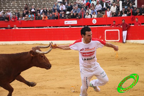 Alfaro (La Rioja)  16 de mayo Concurso de recortadores con anillas, ganaderia Jose Arriazu e Hijos (Ablitas, Navarra) 4638624569_a5507079a4