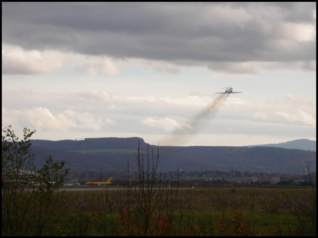 Novembre 2010 5143740536_f80359df0d_b