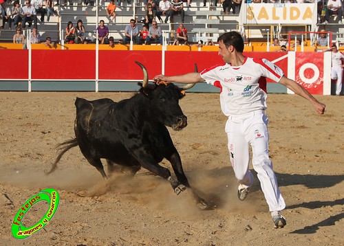 Concurso recortadores de Tauste 24-04-2010 ganaderias Jose Antonio Murillo Romeo y Francisco Murillo Conde (Tauste, Zaragoza) 4581325993_8b4a67d183