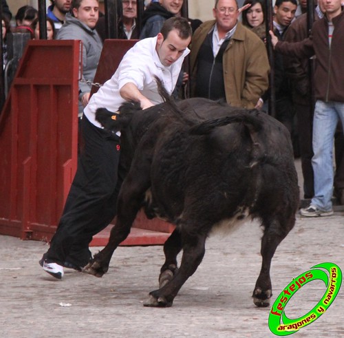 Cariñena (Zaragoza) 29-01-2010 ganaderia Jesus Marcen (Villanueva de Gallego) 4321499695_2ae20ba660