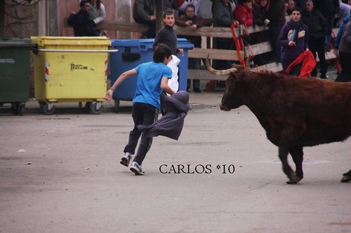 CABAÑAS DE EBRO  24--01-10 GANADERIA RAFAEL ALARCON 4312218996_8d850ee18d