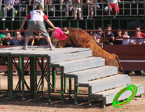 Mores (Zaragoza)  29-05-2010 desafio de ganaderias Hnos Joven (La Almunia, Zaragoza) Francisco Murillo Conde (Tauste, Zaragoza) Julio Ortega "Ruiseñor" (Frescano, Zaragoza) Jose Antonio Murillo Romeo (Tauste, Zaragoza) 4663610077_6d3f385cee