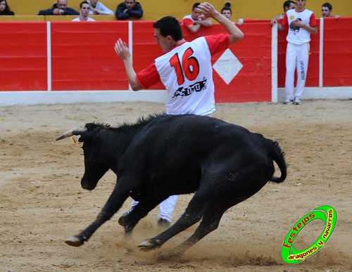 Concurso de cortes de Ricla ganaderia Ana Corera (Larraga, Navarra) 4641647263_f278d9e7b3