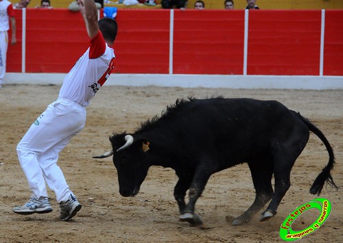 Concurso de cortes de Ricla ganaderia Ana Corera (Larraga, Navarra) 4642253538_858b7f621f