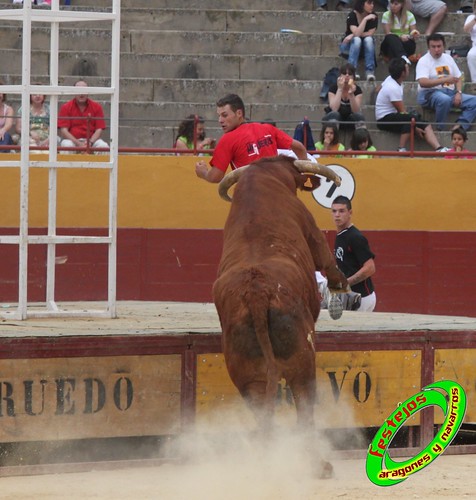 Alagon (Zaragoza) 11-6-2010 desafio de ganaderia entre Jose Luis Cuartero (Pradilla de Ebro, Zaragoza) y Jose Arriazu e Hijos (Ablitas, Navarra) 4709277832_2b8176b4a0