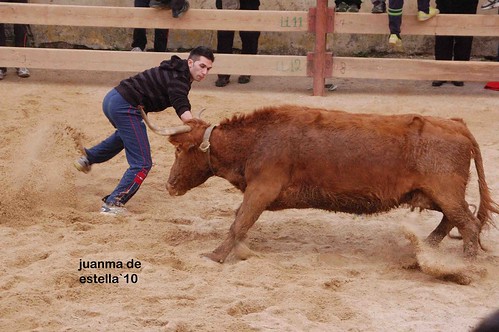 Villatuerta (Navarra) 5-03-2010 ganaderia Alba Reta (Grocin, Navarra) 4459666573_442c8d91a1