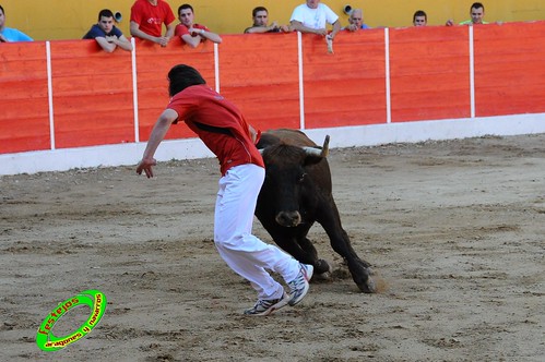 Concurso de recortadores con anillas de Ricla (Zaragoza) ganaderia Hnos. Vela (Mallen, Zaragoza) 4653915020_fc8785fa72