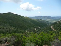 Maggio in sardegna : alla ricerca di un sogno 4680013756_43bf237273_m