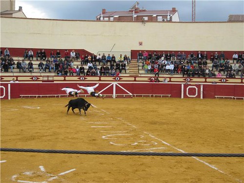 Lodosa (Navarra) 21-03-2010 ganaderia Jose Antonio Baigorri "El Pincha" (Lodosa, Navarra) 4500272662_1314501a2e