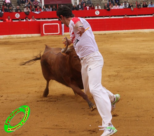 Alfaro (La Rioja)  16 de mayo Concurso de recortadores con anillas, ganaderia Jose Arriazu e Hijos (Ablitas, Navarra) 4639233022_def34288a1