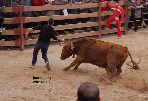 Villatuerta (Navarra) 5-03-2010 ganaderia Alba Reta (Grocin, Navarra) 4459662415_3319e99b8c