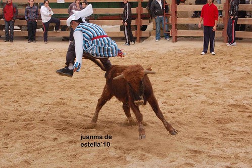 Villatuerta (Navarra) 5-03-2010 ganaderia Alba Reta (Grocin, Navarra) 4460436266_5590fbf8a7