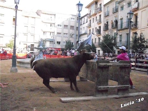 Borja (Zaragoza) 23-03-2010 ganaderia Hnos.Vela (Mallen, Zaragoza) 4575397068_f527186401