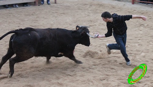 Villatuerta (Navarra) 6-03-2010 ganaderia Macua (Larraga, Navarra) 4423119418_464b2762e8