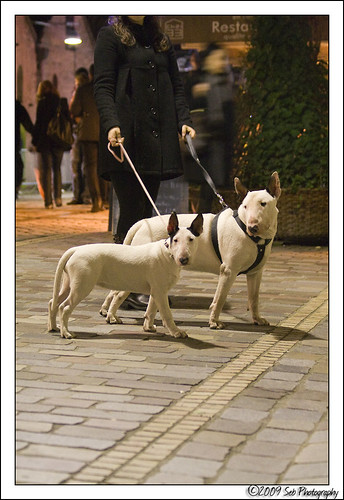 Yaya & Igor à Vincennes et Bercy village 4282208107_522cec7522