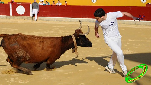 una anilla por Haiti (Alagon, Zaragoza) ganaderias Jose Luis Cuartero (Pradilla de Ebro, Zaragoza) y Logroño Tovar (Pedrola, Zaragoza) 4417735010_e08187b00b