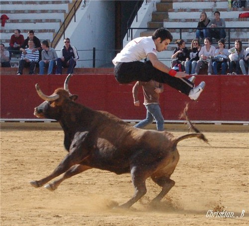 Teruel 6-4-2010 ganaderia Pedro Fumado "El Charnego" (Deltebre, Tarragona) 4514267993_e6f01f6a7a