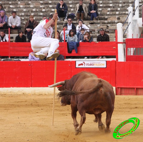 Alfaro (La Rioja)  16 de mayo Concurso de recortadores con anillas, ganaderia Jose Arriazu e Hijos (Ablitas, Navarra) 4638632189_1942194ba5