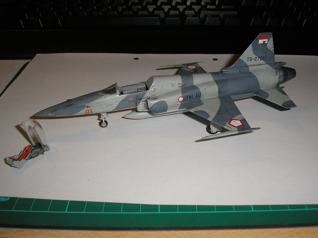 [Hasegawa] Northrop F-20 Tigershark 1/72 (nf20) - Page 6 4312693890_438f4892bd_b