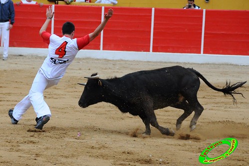 Concurso de cortes de Ricla ganaderia Ana Corera (Larraga, Navarra) 4642297720_6240fa47dd