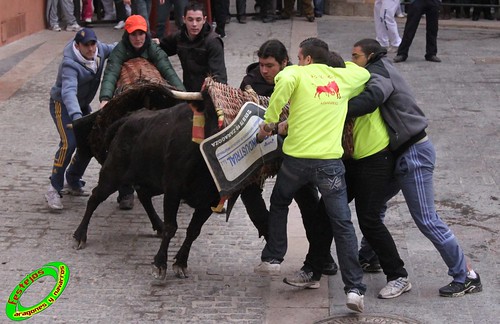 Cariñena (Zaragoza) 29-01-2010 ganaderia Jesus Marcen (Villanueva de Gallego) 4322237678_dc08e17019