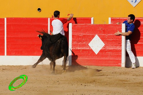 Concurso de recortadores con anillas de Ricla (Zaragoza) ganaderia Hnos. Vela (Mallen, Zaragoza) 4653926586_7f2d7cbb4f