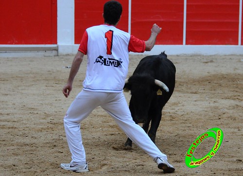 Concurso de cortes de Ricla ganaderia Ana Corera (Larraga, Navarra) 4641659237_81cfe44dfd