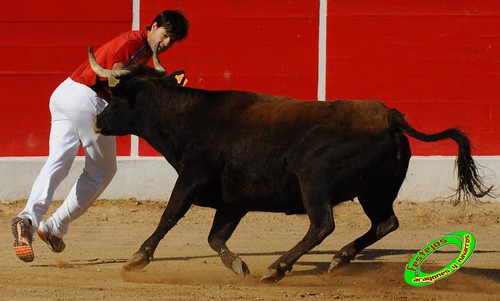 Concurso de recortadores con anillas de Ricla (Zaragoza) ganaderia Hnos. Vela (Mallen, Zaragoza) 4653946612_8a624bfa19