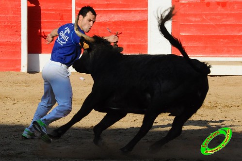 Concurso de recortadores con anillas de Ricla (Zaragoza) ganaderia Hnos. Vela (Mallen, Zaragoza) 4653972596_7ebfe41741