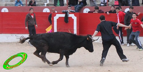 Corella (Navarra) 16-04-2010 Jose Antonio Baigorri "El Pincha" (Lodosa, Navarra) 4534940553_6933d8a17f