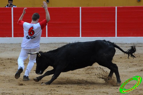 Concurso de cortes de Ricla ganaderia Ana Corera (Larraga, Navarra) 4642214572_4908aef78f