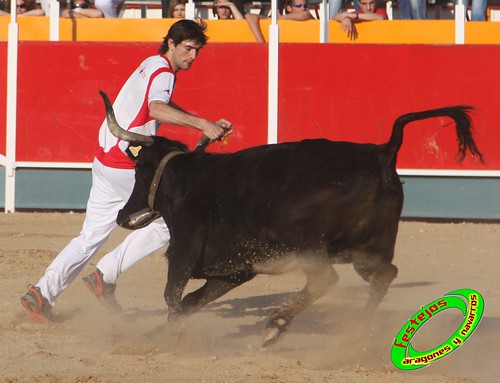 Concurso recortadores de Tauste 24-04-2010 ganaderias Jose Antonio Murillo Romeo y Francisco Murillo Conde (Tauste, Zaragoza) 4581311709_82c0614ef3