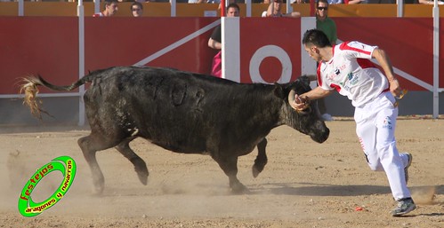 Concurso recortadores de Tauste 24-04-2010 ganaderias Jose Antonio Murillo Romeo y Francisco Murillo Conde (Tauste, Zaragoza) 4581375639_3761827fa2