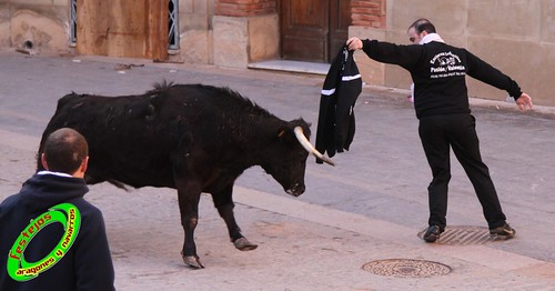 Cariñena (Zaragoza) 30-01-2010 ganaderia Jesus Marcen (Villanueva de Gallego) 4327648187_ea1670dff0