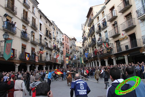 Toros ensogados (Teruel) 4379853620_a4931ef2d4