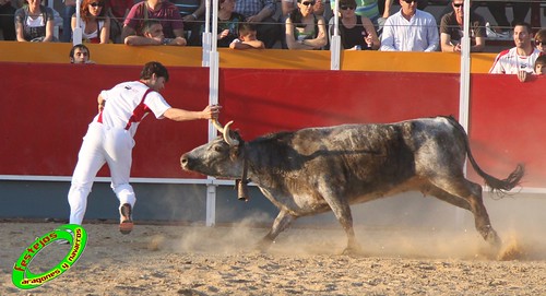 Concurso recortadores de Tauste 24-04-2010 ganaderias Jose Antonio Murillo Romeo y Francisco Murillo Conde (Tauste, Zaragoza) 4581356695_f84e427d6c