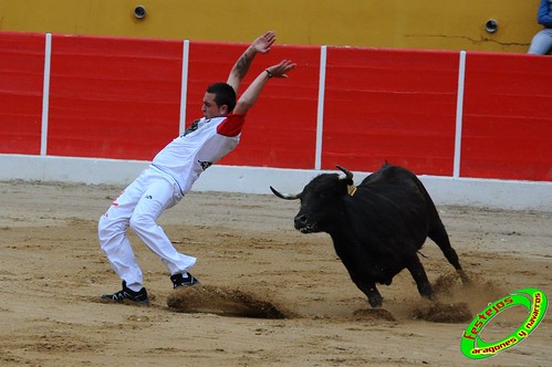 Concurso de cortes de Ricla ganaderia Ana Corera (Larraga, Navarra) 4641694483_634aa3ac37