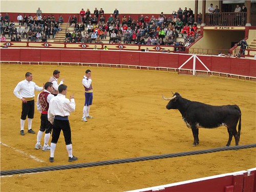 Lodosa (Navarra) 21-03-2010 ganaderia Jose Antonio Baigorri "El Pincha" (Lodosa, Navarra) 4499639747_7e2db5f552