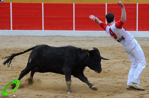 Concurso de cortes de Ricla ganaderia Ana Corera (Larraga, Navarra) 4641632089_ae5330f396