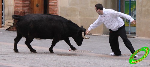 Cariñena (Zaragoza) 29-01-2010 ganaderia Jesus Marcen (Villanueva de Gallego) 4322224174_ccbb4e4fd6