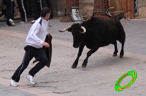 Cariñena (Zaragoza) 30-01-2010 ganaderia Jesus Marcen (Villanueva de Gallego) 4328373460_8c20014899