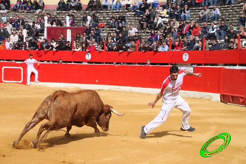 Alfaro (La Rioja)  16 de mayo Concurso de recortadores con anillas, ganaderia Jose Arriazu e Hijos (Ablitas, Navarra) 4639251450_ceb0cae53d